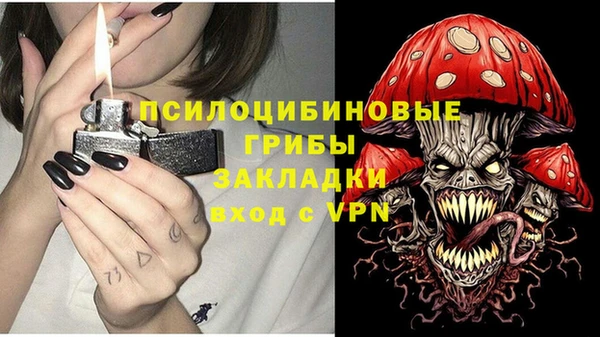 твердый Балахна